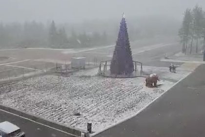 В российском регионе снегопад в середине июня сняли на видео
