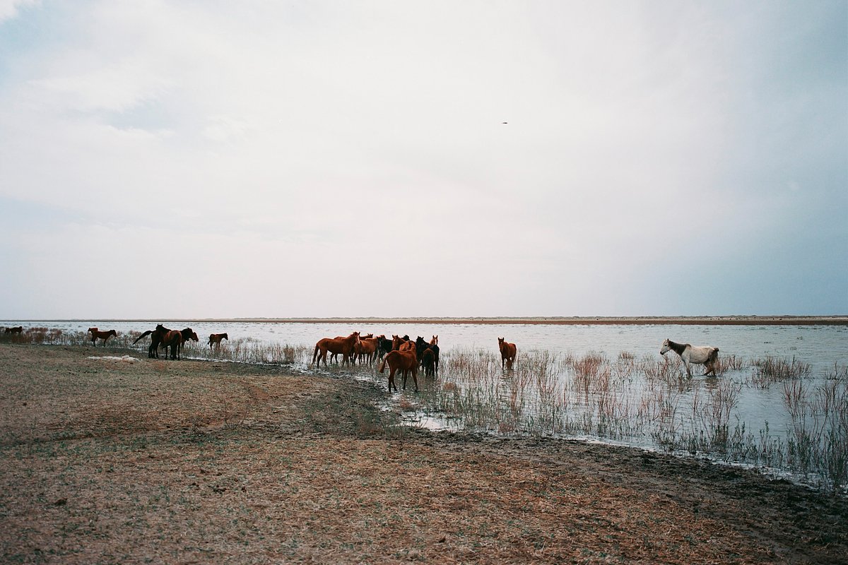 Озеро Сарыбас, Узбекистан, 12-15 апреля 2023 года