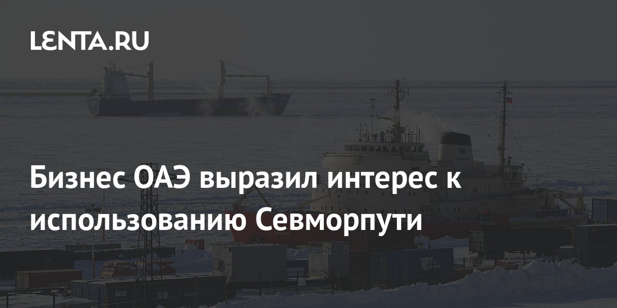 Бизнес ОАЭ выразил интерес к использованию Севморпути: Бизнес ...