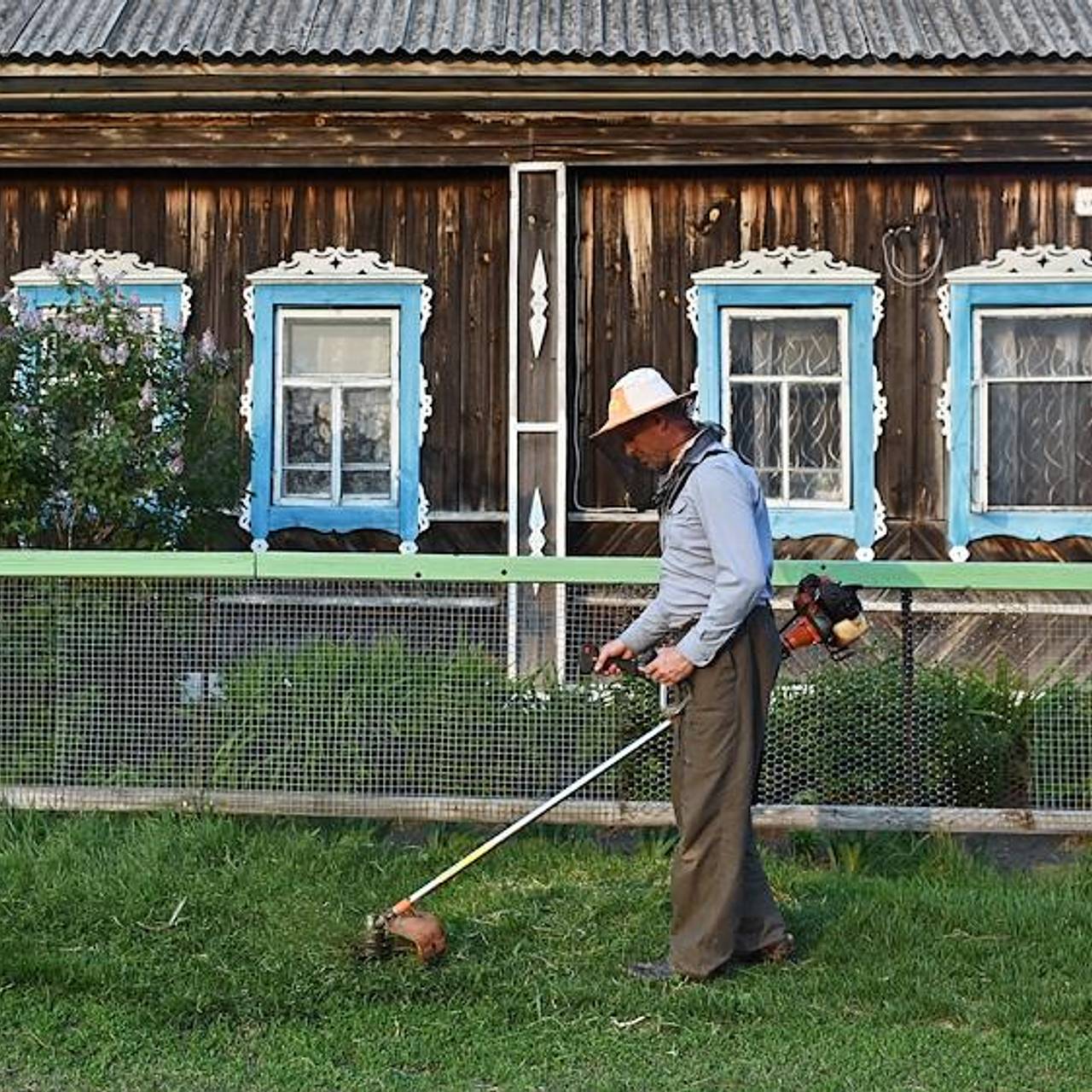 Дачников предупредили о наказании за неухоженный участок: Дом: Среда  обитания: Lenta.ru