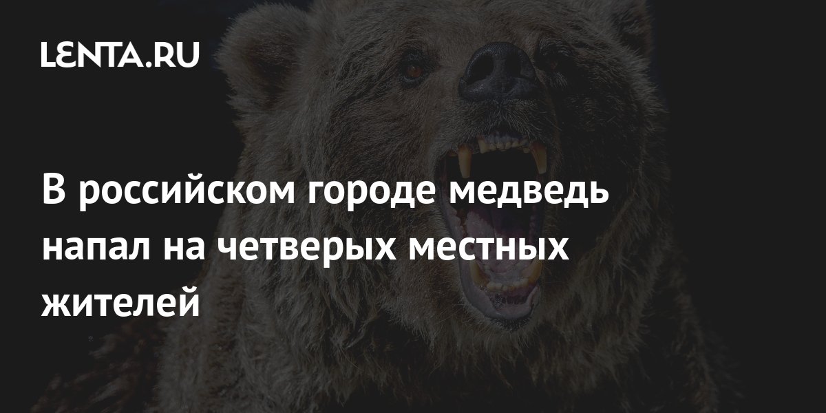 Медведь в городе. На женщину напал медведь иркутск 2016. Названия города медведь. Названия города медведь. Медведи статуі алтайский край.