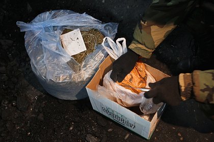 В подмосковной съемной квартире нашли 10 килограммов наркотиков