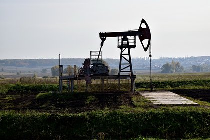 Поставки российской нефти в Евросоюз рухнули