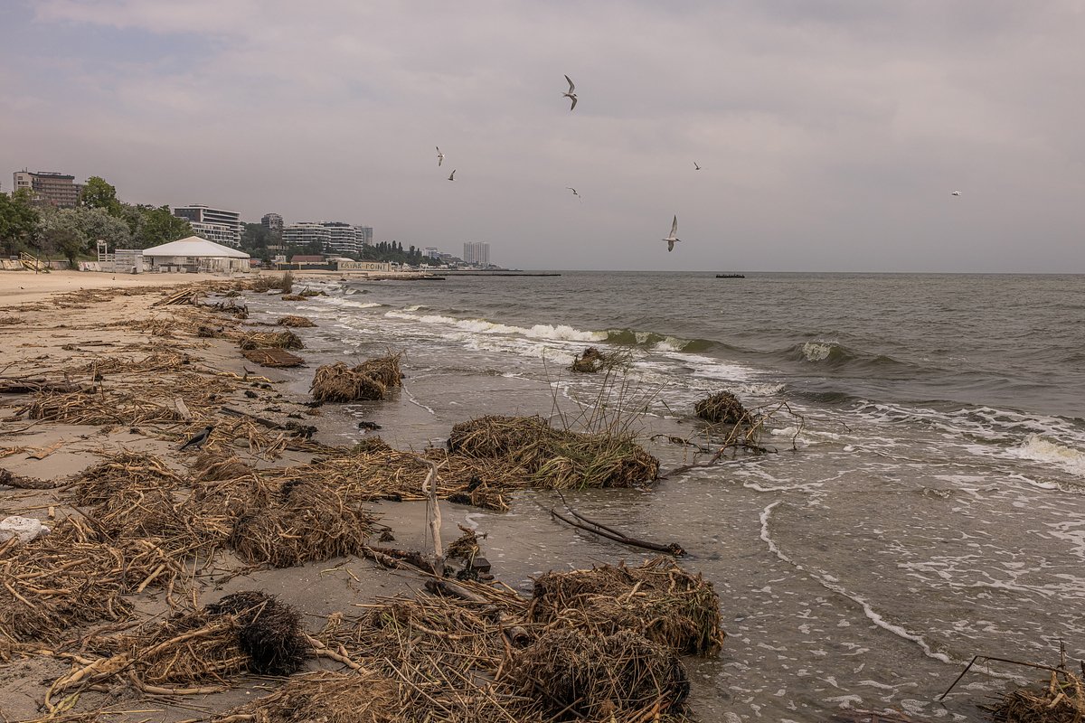 Загрязненный пляж в Одессе, Украина