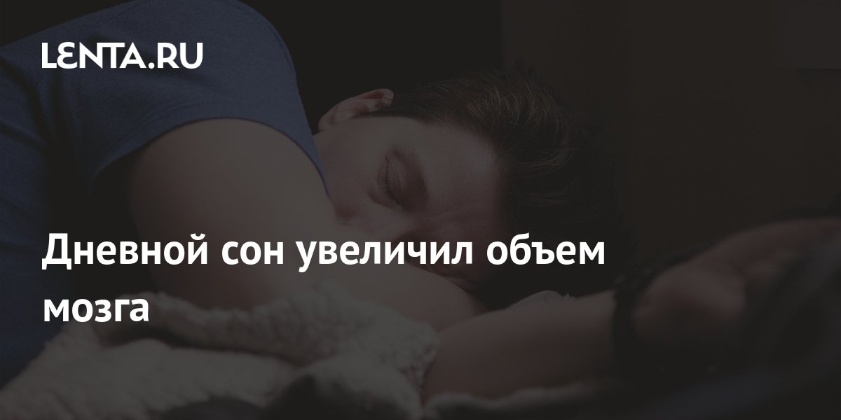 Дневной сон увеличил объем мозга: Здоровье: Наука и техника: Lenta.ru