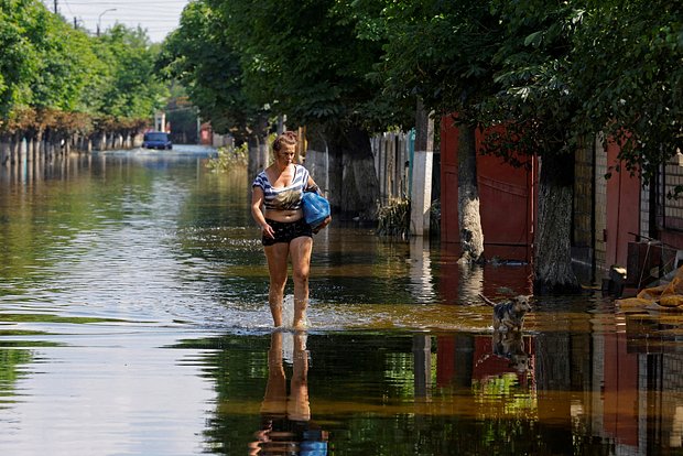 Вводная картинка