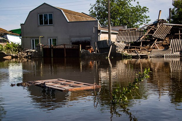 Вводная картинка