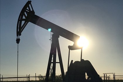 Доля российских нефти и газа на европейском рынке сократилась