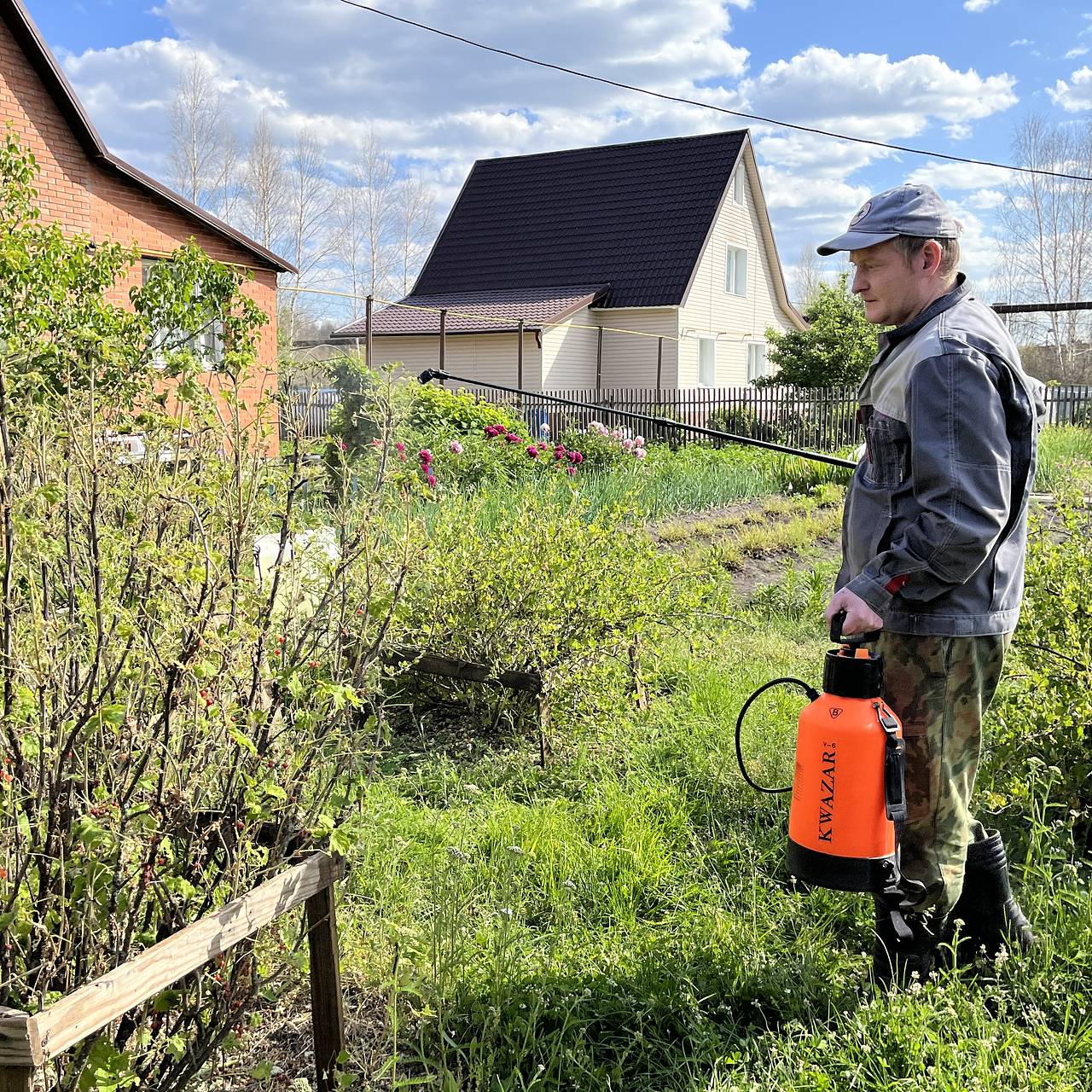 Дачникам предложили бороться с болезнями растений с помощью соды: Дом:  Среда обитания: Lenta.ru