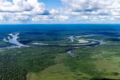 Леса Амазонки пострадали из-за наркомафии