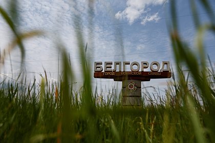 Стало известно о гибели 14 военнослужащих при заходе ДРГ в Белгородскую область