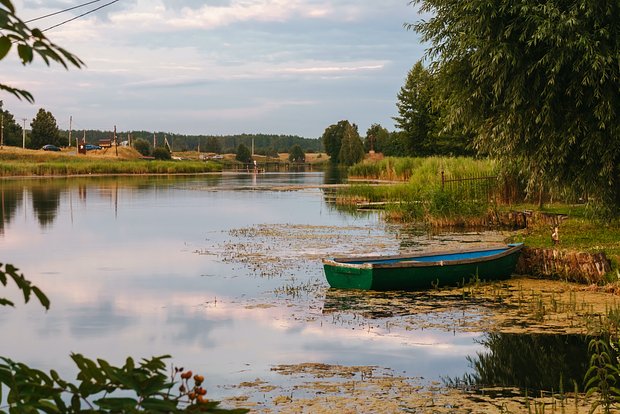 Вводная картинка