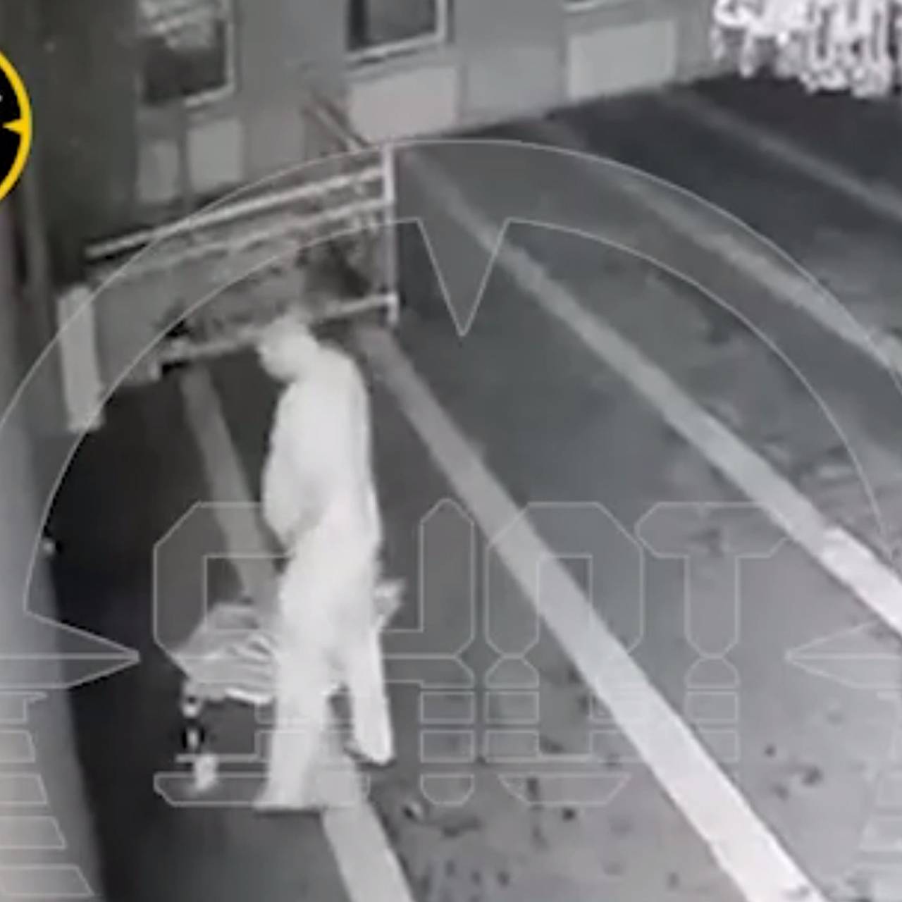 Фото: Telegram-канал Shot