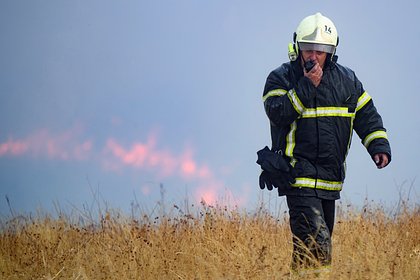 В российском регионе ввели режим ЧС из-за лесных пожаров