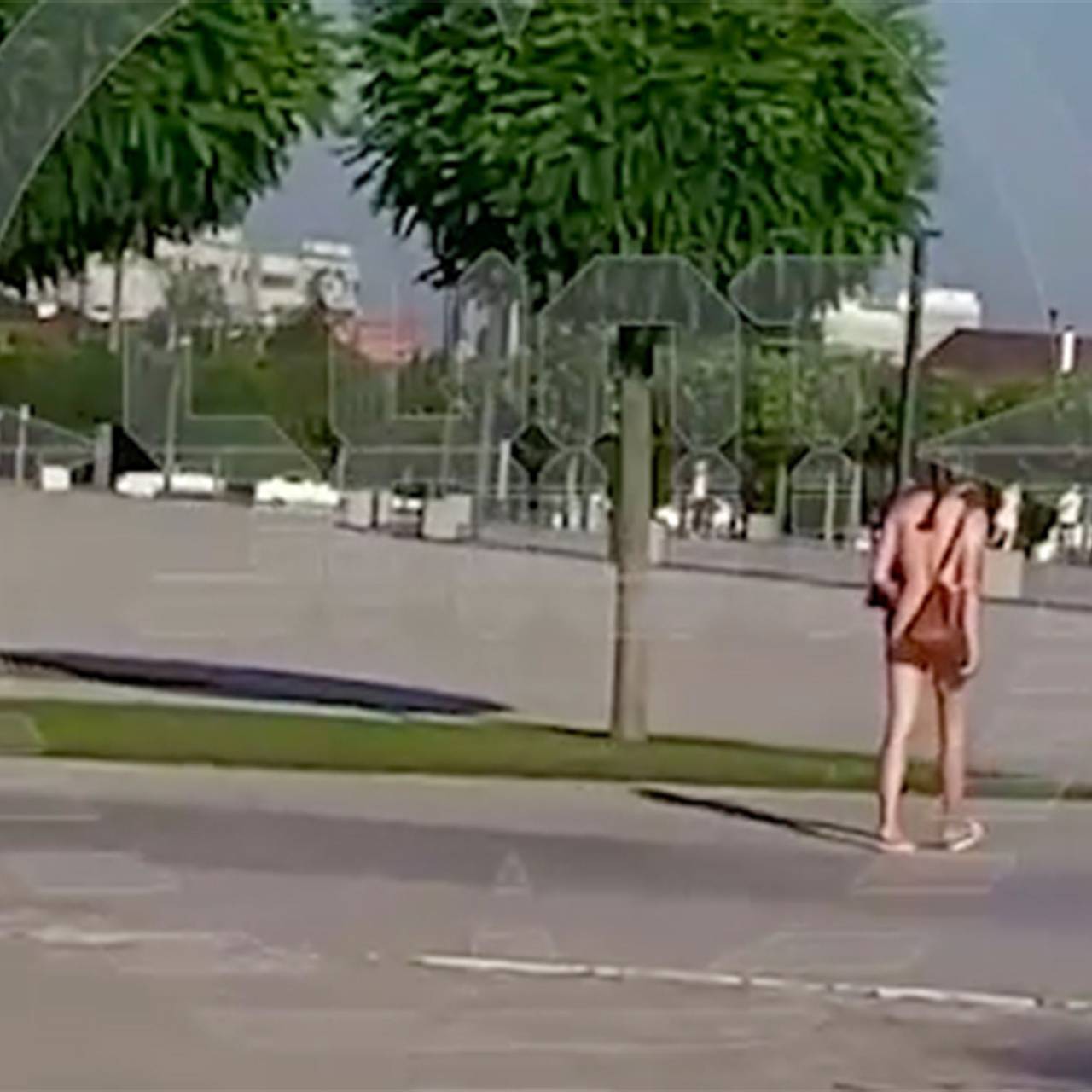 На севере Петербурга гуляет голая девушка
