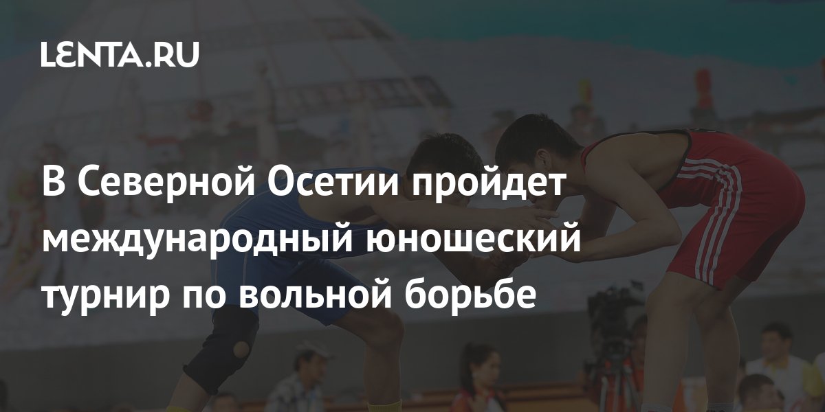 Вольная борьба индивидуальный проект