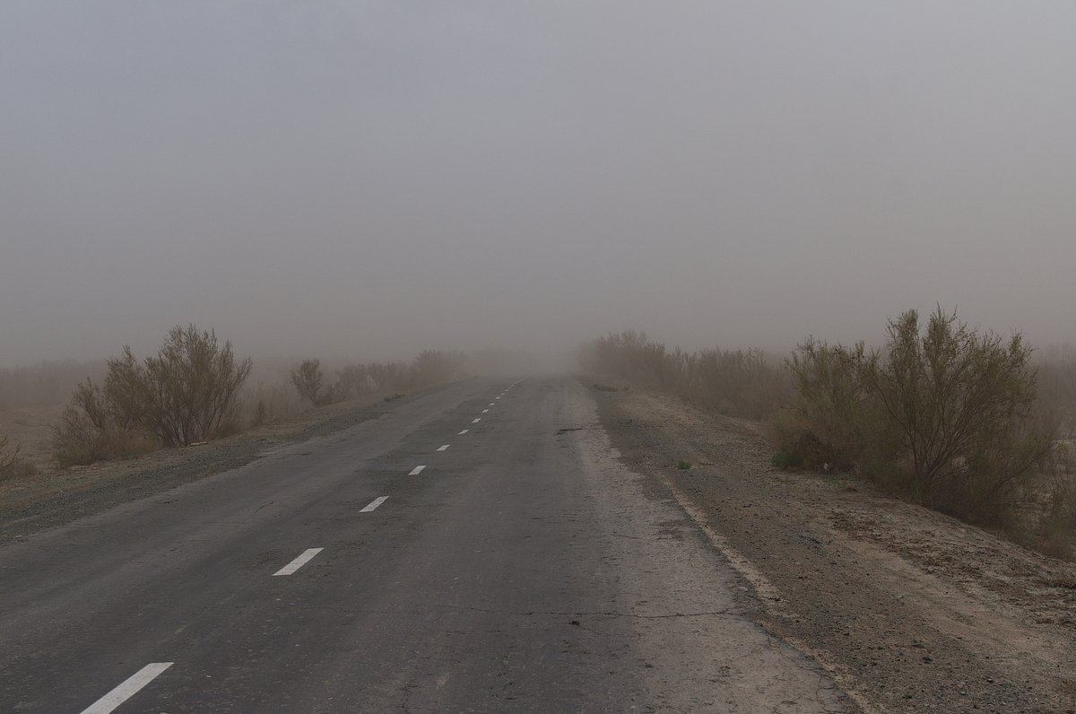 Дорога между городами Муйнак и Кунград, Узбекистан, 12-15 апреля 2023 года