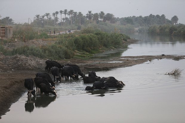 Вводная картинка