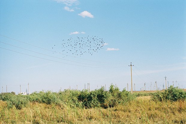 Вводная картинка