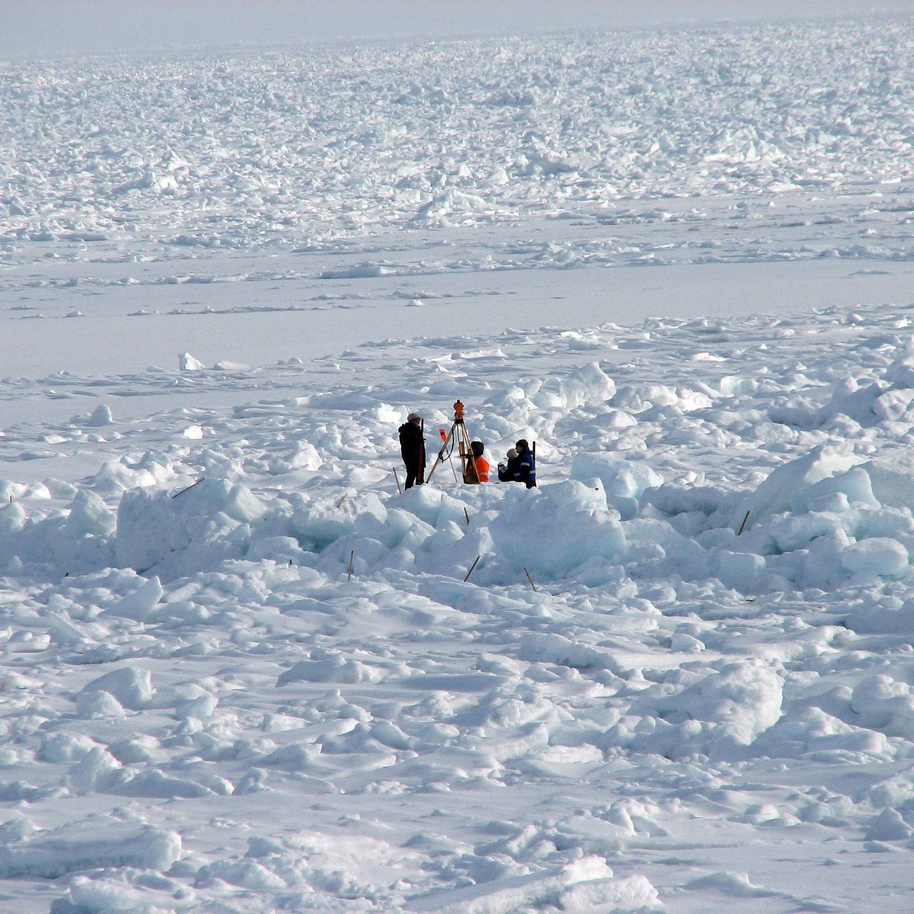 Фото: Vladislav Kadyshev / Globallookpress.com