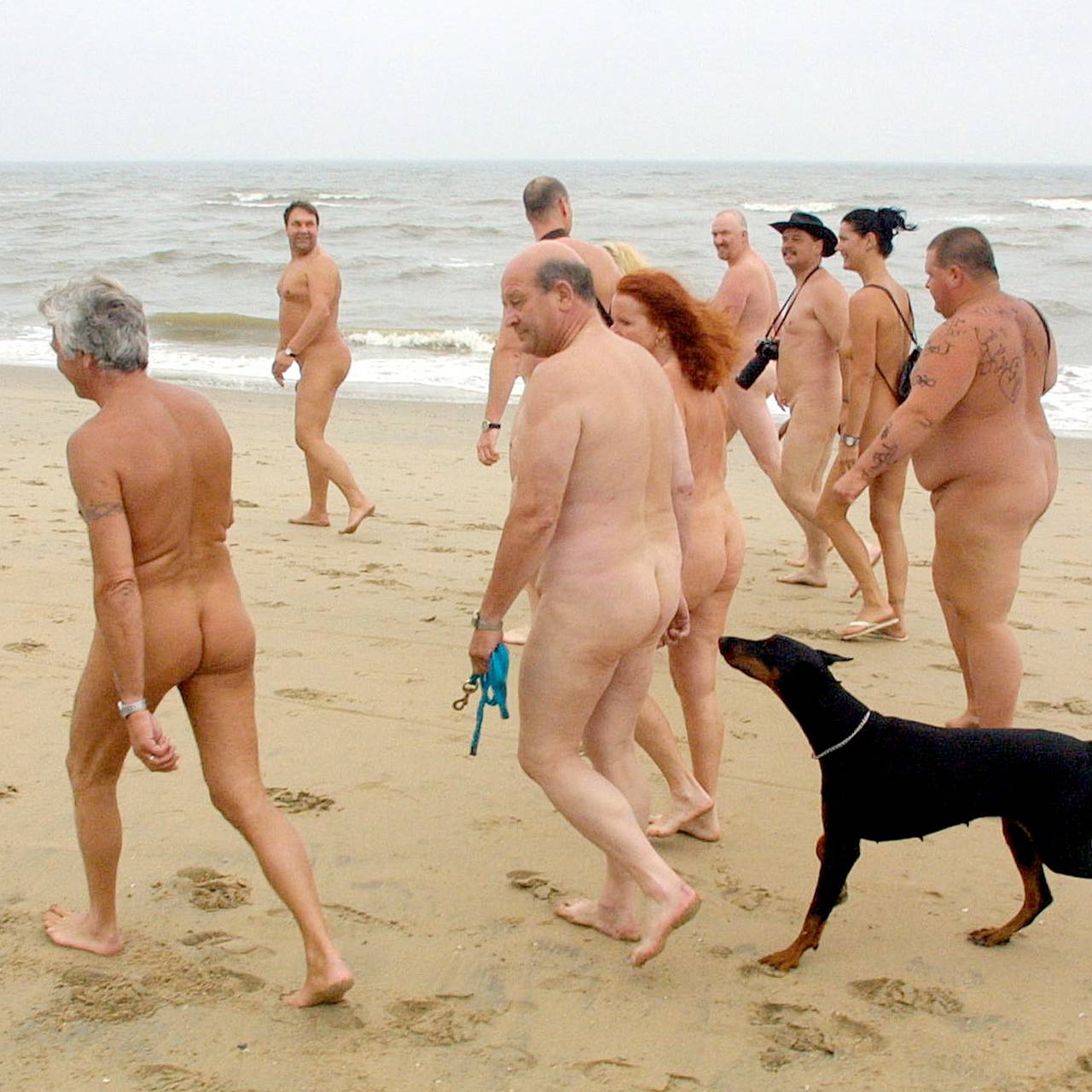 Нудизм и натуризм 