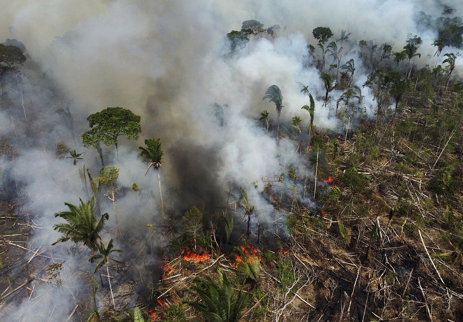 Лесной пожар в бразильском штате Амазонас