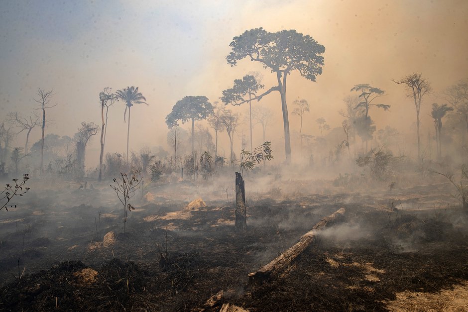 Уничтоженные огнем тропические леса в Бразилии