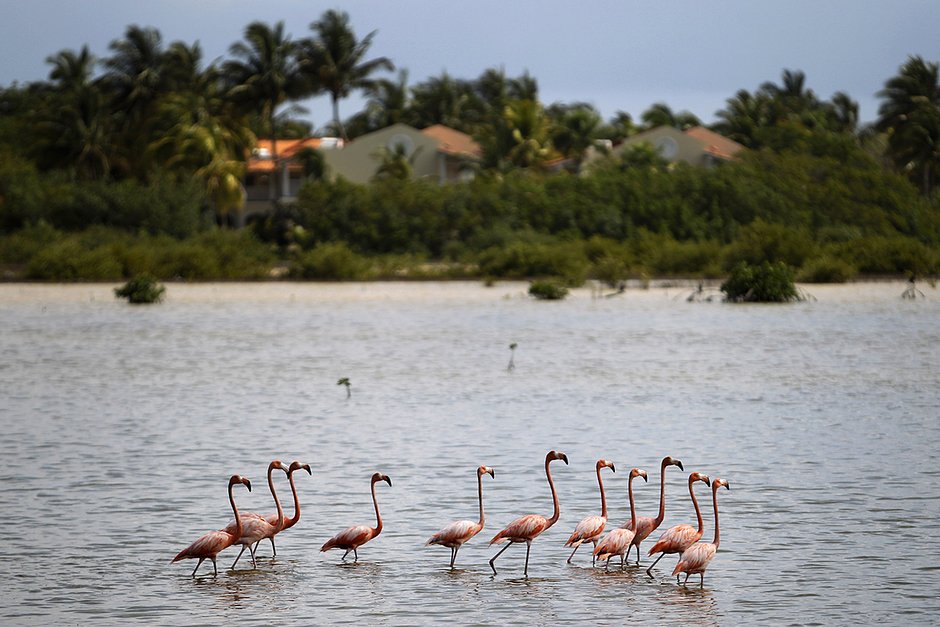 Лучшим пляжем считается Плайя лос-Фламенкос, названный в честь фламинго, которых можно увидеть повсюду