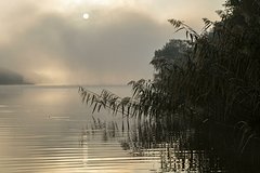 Архивное фото