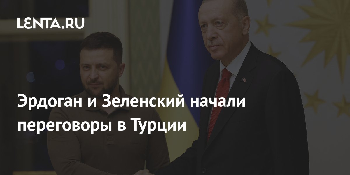 Эрдоган и Зеленский начали переговоры в Турции: Политика: Мир: Lenta.ru
