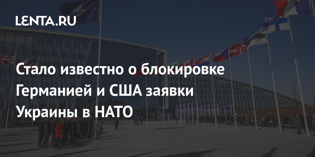 Стало известно о блокировке Германией и США заявки Украины в НАТО: Политика: Мир