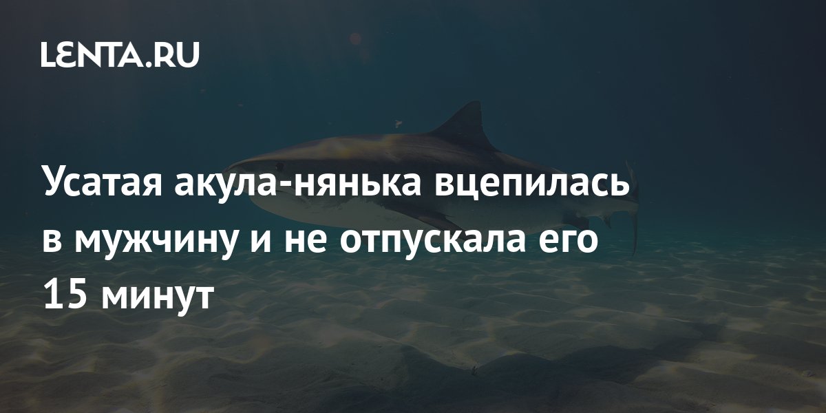 Кровать вцепилась мне в плечо не отпущу поспи еще слушать