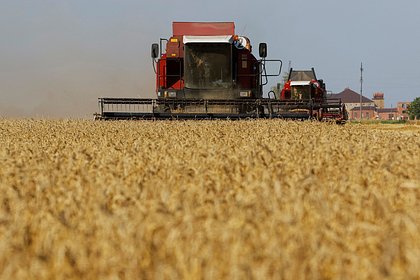 Путин оценил выгоду от зерновой сделки для России