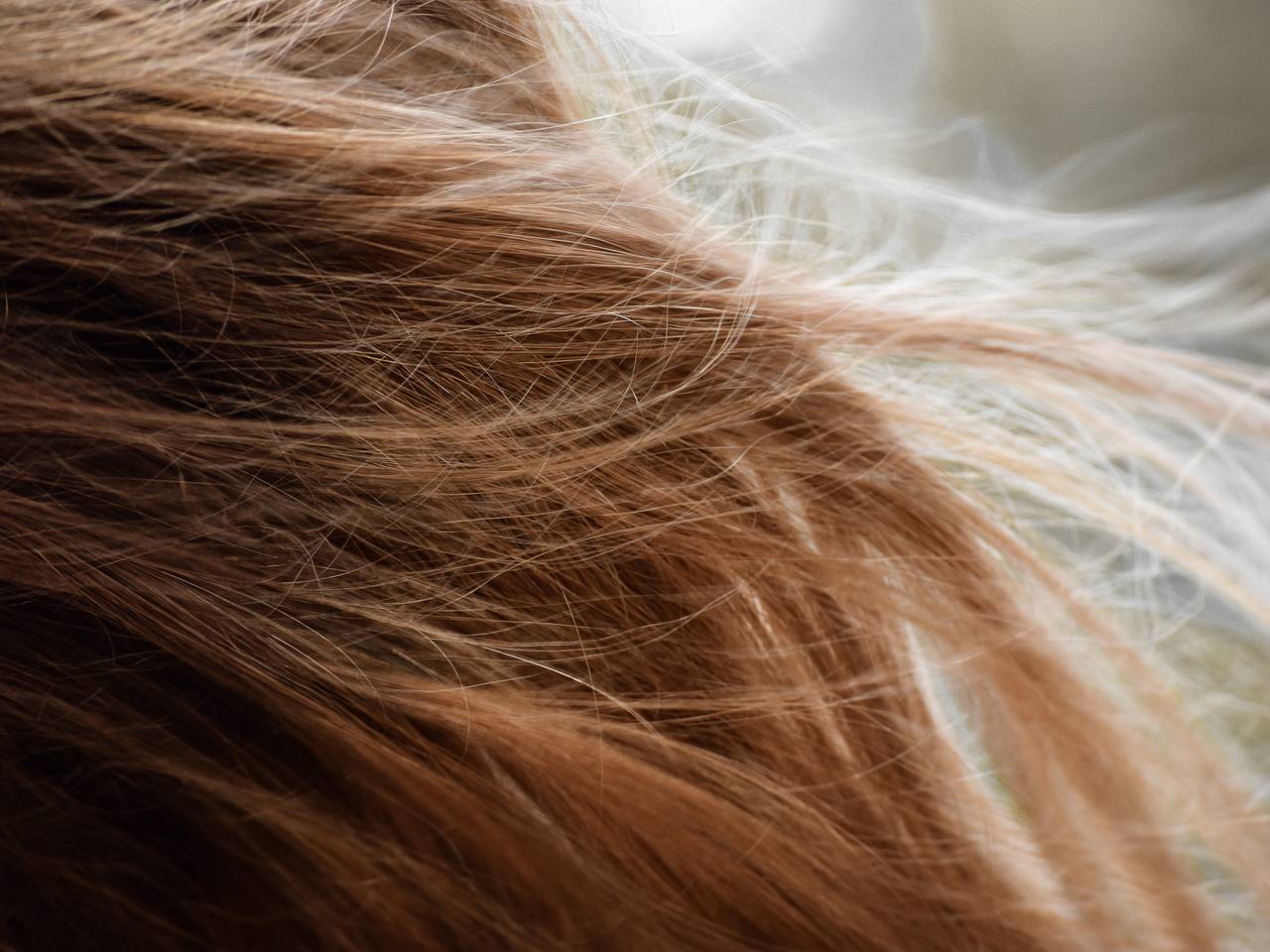 Стоковые фотографии по запросу Девушка волосы ветер