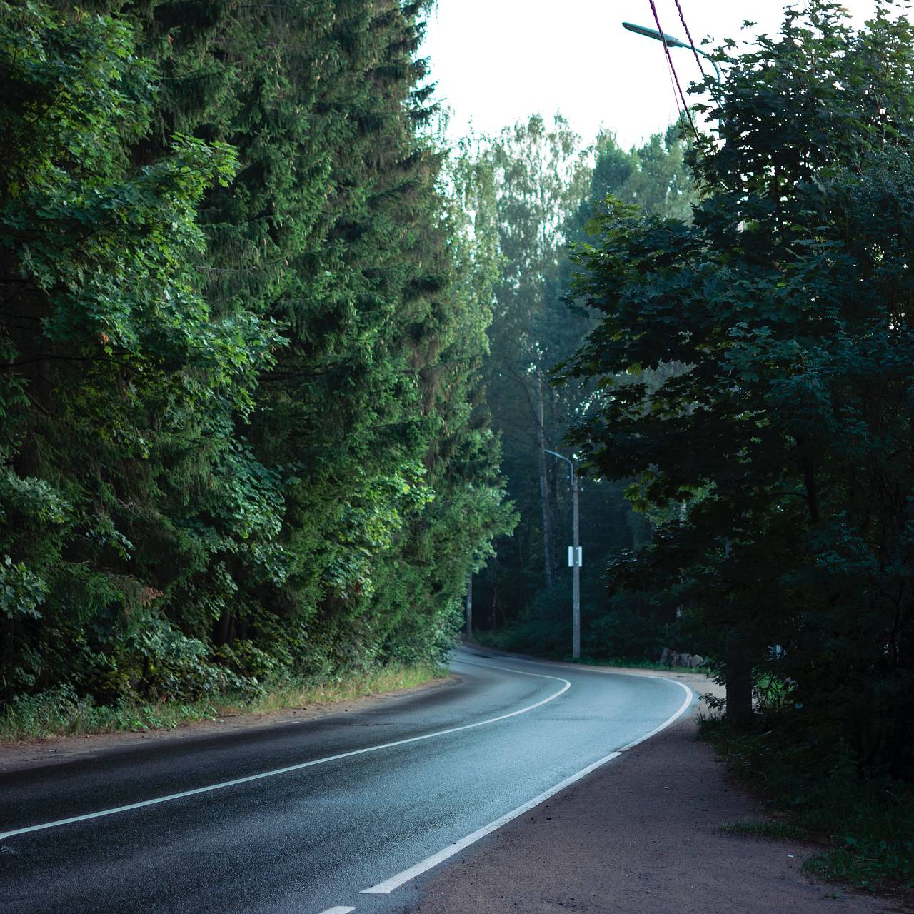 Фото: Vitali Adutskevich / Unsplash