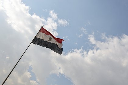 Оценены последствия прекращения зерновой сделки для Египта