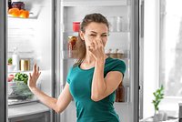 Как убрать запах из холодильника? Топ-5 средств, которые помогут избавиться от неприятного аромата
