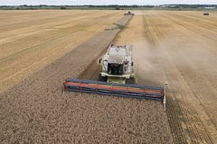 В России назвали условие возобновления зерновой сделки