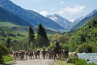 «Похоже на швейцарские горные луга» Полный гайд по Киргизии: все, что нужно знать туристу об отдыхе в этой стране