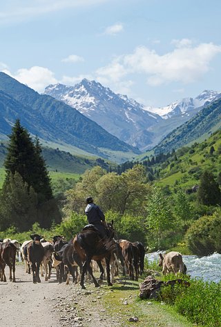 kyrgyz-kyzdar.com Кыргыз кыздар Москва