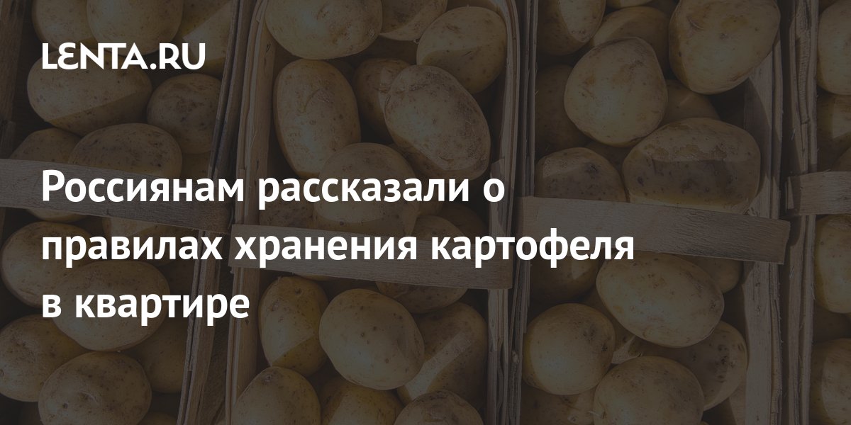 Россиянам рассказали о правилах хранения картофеля в квартире: Дом ...