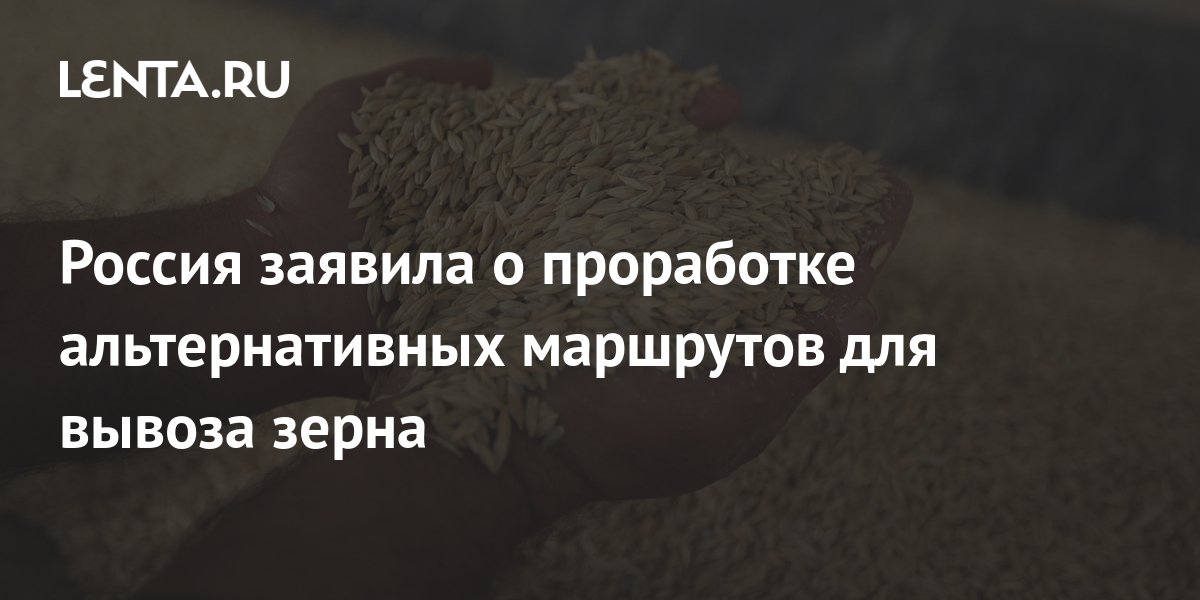 Россия прорабатывает новые маршруты вывоза зерна после остановки зерновой