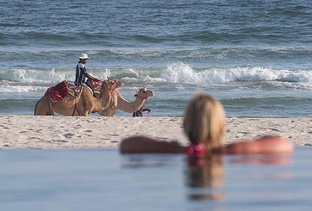 Верблюды на пляже в Салале