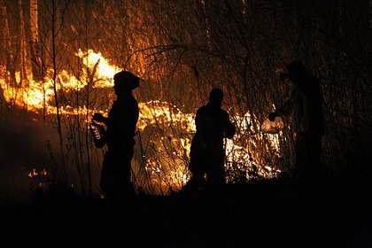 В России чиновников решили наказать за халатности во время лесных пожаров