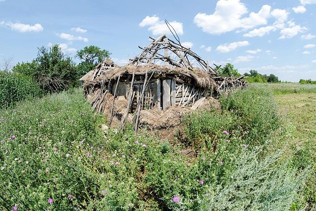 Вводная картинка