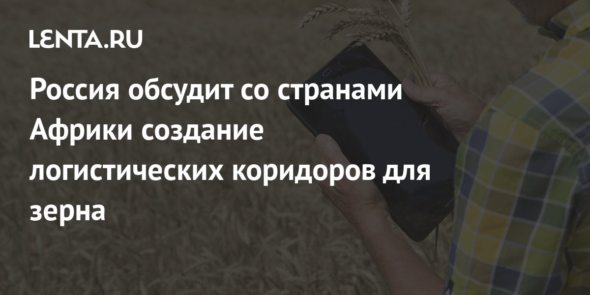 На саммите Россия - Африкаобсудят логистические коридоры для зерна из РФ