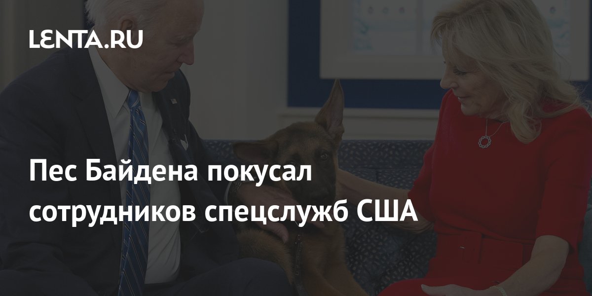 Производственные травмы: Собака Байдена искусала семь сотрудников спецслужбы