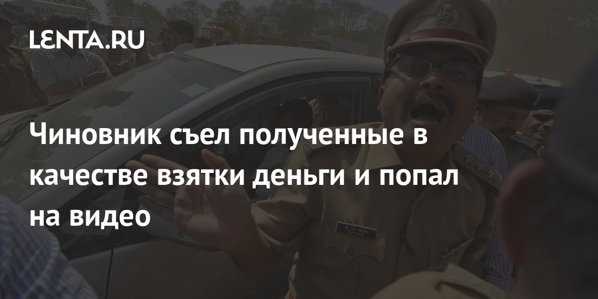 игра шапалах. взяли съели. шутки про любовь к еде. убийца бездомных собак. взяли съели.