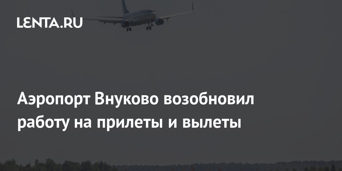 Аэропорт Внуково возобновил работу на прилеты и вылеты: Общество