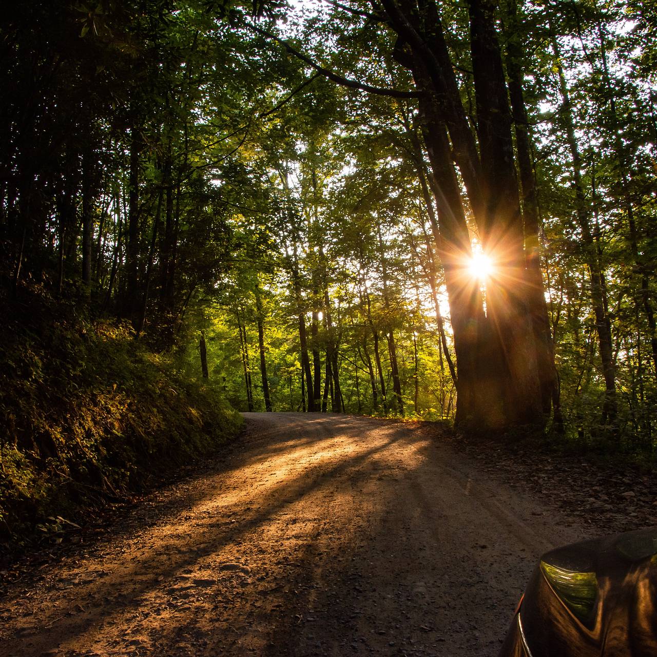 Фото: Abigail Ducote / Unsplash